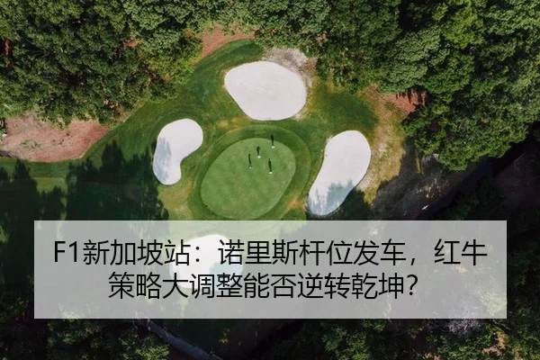 xin-jia-po-zhan-nuo-li-si-gan-wei-fa-che-hong-niu-ce-lve-da-diao-zheng-neng-fou-ni-zhuan-qian-kun-2-349.jpg